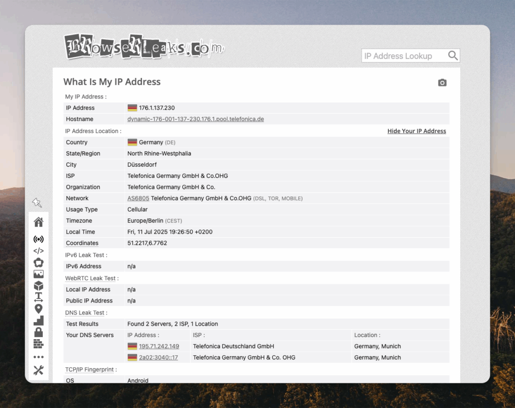 browserleaks tool screenshot Screenshot of browser privacy testing tool BrowserLeaks